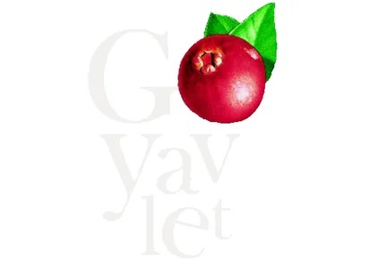 Goyavlet