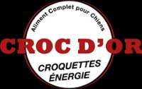 Croc d'or